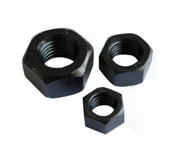 Hex Nut
